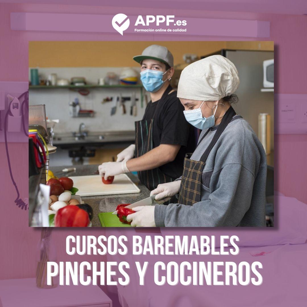 Curso de Ayudante de Cocina (Pinche)